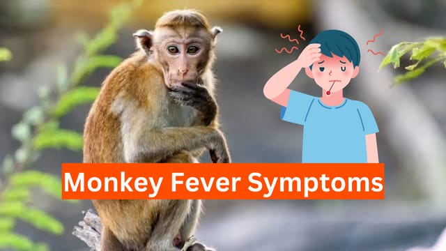 ದೇಶಾದ್ಯಂತ ಮಂಗನ ಕಾಯಿಲೆ ಭೀತಿ: ಪರಿಹಾರವೇನು? monkey fever