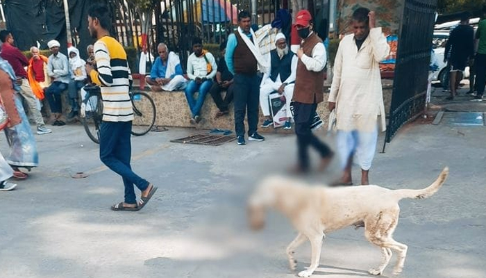 ಮಾನವನ ಕೈಯನ್ನು ಕಚ್ಚಿಕೊಂಡು ಬೀದಿಯಲ್ಲಿ ತಿರುಗಾಡಿದ ನಾಯಿ: ಬೆಚ್ಚಿಬಿದ್ದ ಜನ the dog