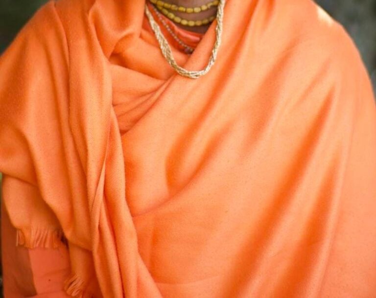 ಮಹಿಳೆಯ ಚಿನ್ನಾಭರಣ ದೋಚಿದ ಕಾವಿಧಾರಿಗಳು monk