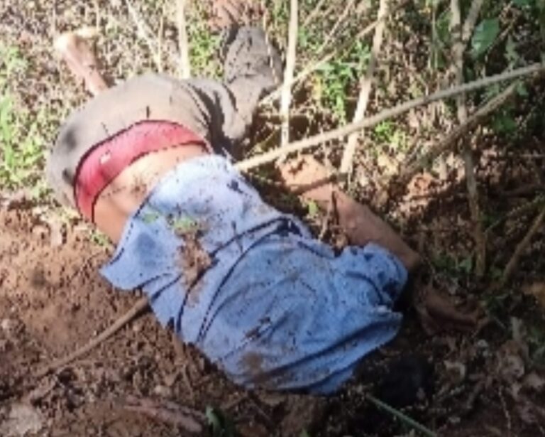 ಕಾಡಾನೆ ದಾಳಿಗೆ ಕಾರ್ಮಿಕ ಬಲಿ chikkamagaluru