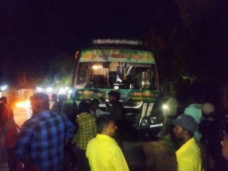 ರಸ್ತೆ ಬದಿ ಹೋಗುತ್ತಿದ್ದ ಕುರಿಗಳ ಹಿಂಡಿಗೆ ಖಾಸಗಿ ಬಸ್ ಡಿಕ್ಕಿ: ಸ್ಥಳದಲ್ಲಿ 8ಕ್ಕೂ ಹೆಚ್ಚು ಕುರಿಗಳ ದಾರುಣ ಸಾವು korategere