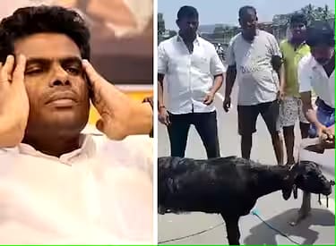 ಅಣ್ಣಾಮಲೈ ಫೋಟೋ ಮೇಕೆ ಕತ್ತಿಗೆ ನೇತು ಹಾಕಿ ನಡು ರಸ್ತೆಯಲ್ಲಿ ಕತ್ತರಿಸಿ ಸಂಭ್ರಮಿಸಿದ ಡಿಎಂಕೆ ಕಾರ್ಯಕರ್ತರು..! annamalai