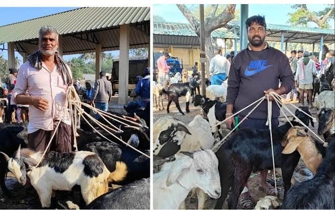 ಬಕ್ರೀದ್ ಹಬ್ಬದ ಪ್ರಯುಕ್ತ ಬೆಂಗಳೂರಲ್ಲಿ ಭರ್ಜರಿ ಕುರಿ ವ್ಯಾಪಾರ bengaluru