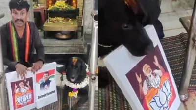 ನರೇಂದ್ರ ಮೋದಿ ಮತ್ತೊಮ್ಮೆ ಪ್ರಧಾನಿಯಾಗ್ತಾರೆ: ಭವಿಷ್ಯ ನುಡಿದ ಕಾಲಭೈರವೇಶ್ವರನ ವಿಶೇಷ ಶ್ವಾನ mysore