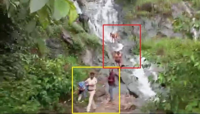 ಚಾರ್ಮಾಡಿ ಫಾಲ್ಸ್ ಬಳಿ ಮೋಜು ಮಸ್ತಿ ದಿಡೀರ್ ಪೊಲೀಸ್ ಎಂಟ್ರಿ ಚಡ್ಡಿಯಲ್ಲೇ ಪರಾರಿಯಾದ ಯುವಕರು false