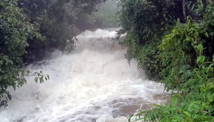 ಮೂಡಿಗೆರೆ: ಹಬ್ಬಿಹಳ್ಳ ಜಲಪಾತ ರೂಪ ಪಡೆದುಕೊಂಡು ಹಾಲ್ನೋರೆಯಂತೆ ಧುಮ್ಮಿಕ್ಕುತ್ತಿದೆ! moodigere