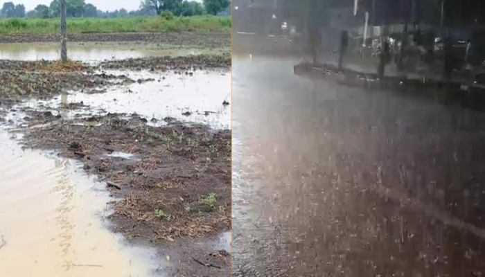 ಬೀದರ್ ಜಿಲ್ಲೆಯ ವಿವಿಧೆಡೆ ಸುರಿದ ಮಳೆ rain