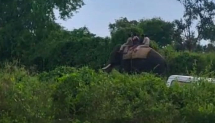 ಹುಲಿಯನ್ನು ಇನ್ನೂ ಎರಡು ದಿನಗಳಲ್ಲಿ ಹಿಡಿಯಬೇಕು: ಅರಣ್ಯಾಧಿಕಾರಿಗಳಿಗೆ ರೈತರಿಂದ ಗಡುವು