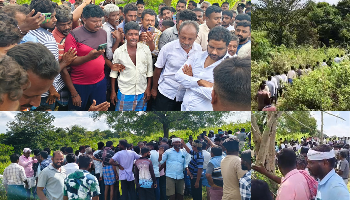 ನರಭಕ್ಷಕ ಹುಲಿಗೆ ರೈತ ಬಲಿ: ಅರಣ್ಯಾಧಿಕಾರಿಗಳ ವಿರುದ್ಧ ಗ್ರಾಮಸ್ಥರಿಂದ ತೀವ್ರ ಆಕ್ರೋಶ tiger