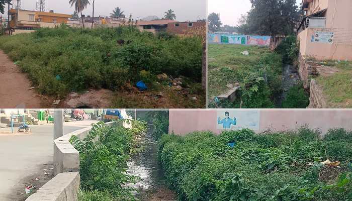 ಮಧುಗಿರಿ: ಸೊಳ್ಳೆಗಳ ವಿಪರೀತ ಕಾಟಕ್ಕೆ ಬಳಲಿ ಬೆಂಡಾದ ಜನ mosquito