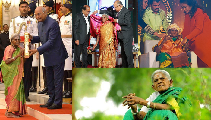 ಮಕ್ಕಳಿಲ್ಲದ ಕೊರಗು ಬಿಟ್ಟು ಮರಗಳಿಗೆ ತಾಯಿಯಾದ ದೈವ ಸ್ವರೂಪಿ “ತಿಮ್ಮಕ್ಕ” salumaratimmakka