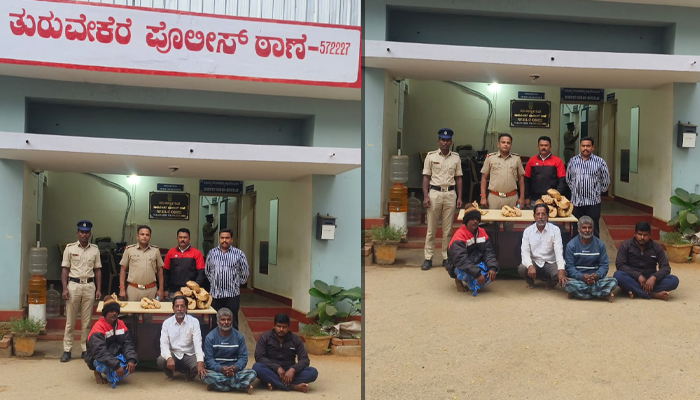 ತುರುವೇಕೆರೆ | ಗಂಧದ ಮರ ಕಳ್ಳತನ: ಮಾಲು ಸಹಿತ ಕಳ್ಳರ ಬಂಧನ turuvekere