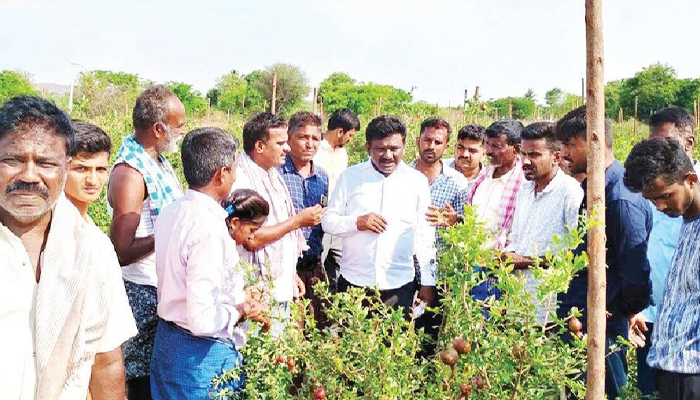 ಬಿರುಗಾಳಿ ಸಹಿತ ಆಲಿಕಲ್ಲು ಮಳೆ: ದಾಳಿಂಬೆ ಬೆಳೆ ನಷ್ಟ | ರೈತರ ಸಂಕಷ್ಟ ಆಲಿಸಿದ ಚಿದಾನಂದ್ ಎಂ.ಗೌಡ