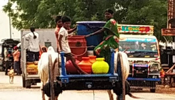 ಅರಕಲಗೂಡು: ಕುಡಿಯುವ ನೀರಿಗೆ ಹಾಹಾಕಾರ, ಜನ ಜಾನುವಾರುಗಳು ಕಂಗಾಲು water
