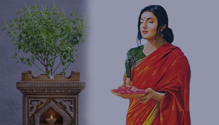 ತುಳಸಿ ಗಿಡ ಬೆಳೆಸುವಾಗ ಈ ತಪ್ಪು ಮಾಡಬೇಡಿ! ನೀರು ಹಾಕುವುದರಿಂದ ಪೂಜೆಯವರೆಗೆ ತಿಳಿಯಬೇಕಾದ ಸಂಪ್ರದಾಯಗಳು ಇವು tulasi puje