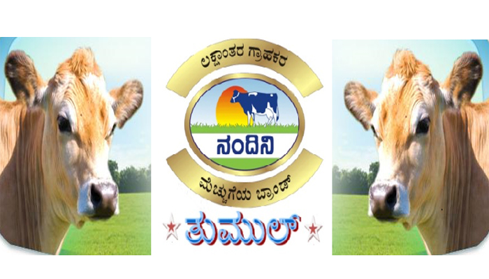 ತುಮಕೂರಿನಲ್ಲಿ ತುಮುಲ್ ನೇಮಕಾತಿ ವಿವಾದಕ್ಕೆ ಹೊಸ ತಿರುವು; 31 ಅಭ್ಯರ್ಥಿಗಳಿಂದ ಕಾನೂನು ಹೋರಾಟಕ್ಕೆ ಸಿದ್ಧತೆ! tumul